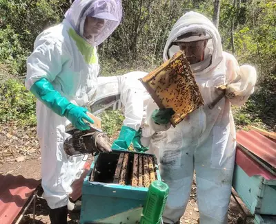 two people in protective gear with a bee hive at Guayabo Animal Rescue & Sanctuary in Hacienda Miravalles