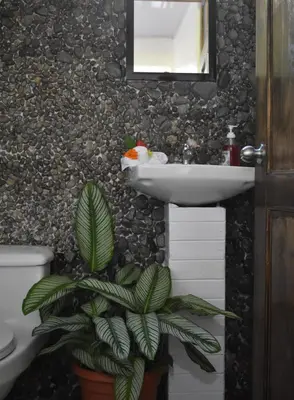 Gallery image of Casa Nimbu Rainforest in Upala