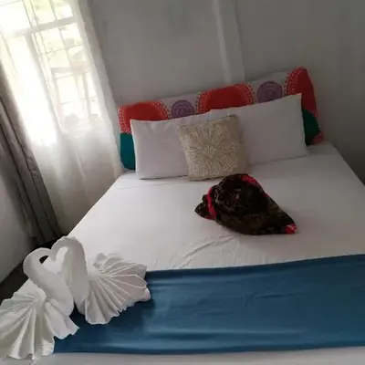 Casa Nimbu Rainforest