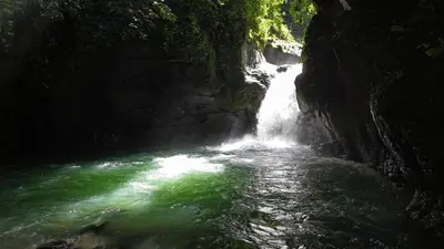 a waterfall in a canyon with green water at The Nest Unique Jungle Retreat in Barú
