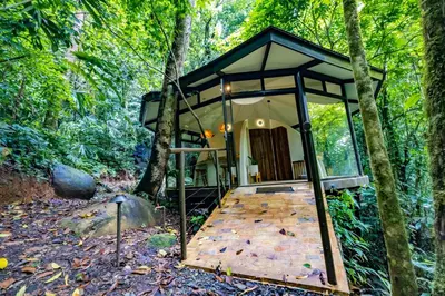 a small house in the woods with a wooden floor at The Nest Unique Jungle Retreat in Barú
