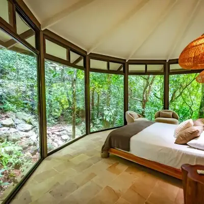 The Nest Unique Jungle Retreat