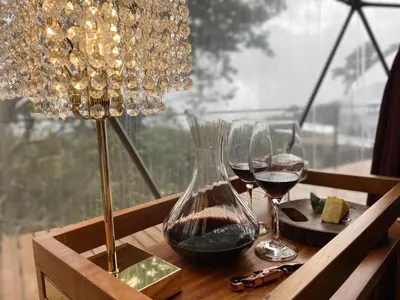 a table with two glasses of wine and a chandelier at The SAFIRA Dome at FéLIZA Rainforest Domes in Monteverde Costa Rica