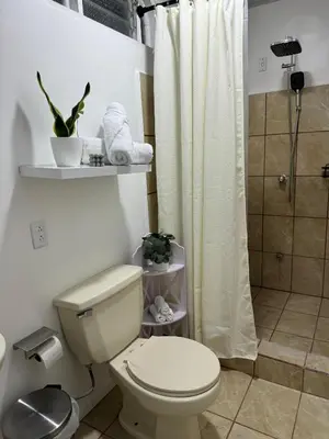 a white bathroom with a toilet and a shower at B&B Pacuare River Gateway Tica House in Linda Vista