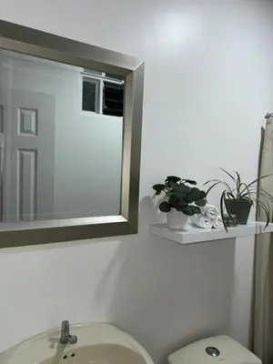 a bathroom with a sink and a mirror and a toilet at B&B Pacuare River Gateway Tica House in Linda Vista