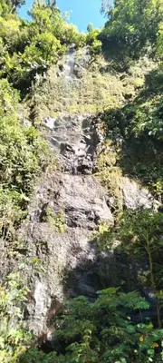 a rocky mountain with trees on it at Gringo Petes Too in Fortuna
