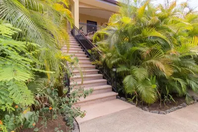 a staircase leading to a house with palm trees at Green Villas Tamarindo in Tamarindo