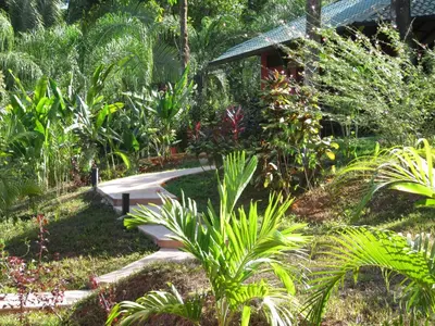 a garden with many plants and a walkway at Oasis de las Palmas in Ojochal