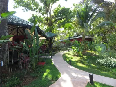 a path leading to a house with trees and plants at Oasis de las Palmas in Ojochal