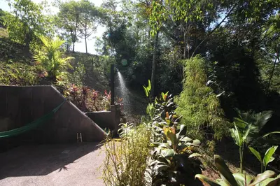a garden with a path and trees and plants at Oasis de las Palmas in Ojochal