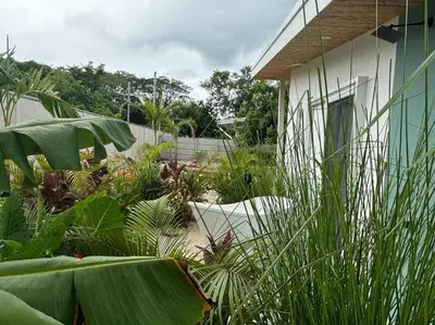 a garden with plants in front of a house at Antemar Guest, Beach bungalow near Conchal in Brasilito