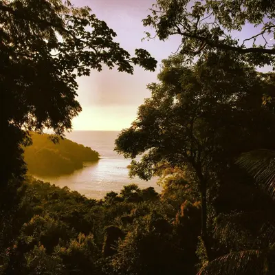 a view of the ocean through the trees at Mango Moon Villa in Manuel Antonio
