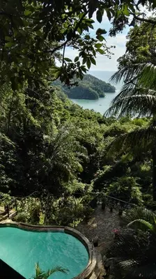 a swimming pool in the middle of a forest with a lake at Mango Moon Villa in Manuel Antonio