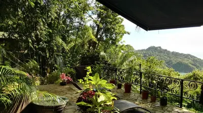 a balcony with plants and a black fence at Mango Moon Villa in Manuel Antonio