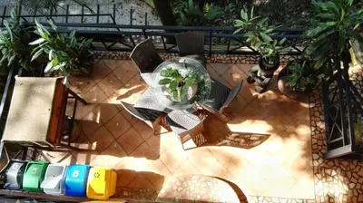 an overhead view of a plant on a patio at Mango Moon Villa in Manuel Antonio