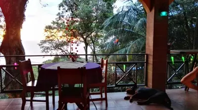 a dog laying on the floor next to a table at Mango Moon Villa in Manuel Antonio