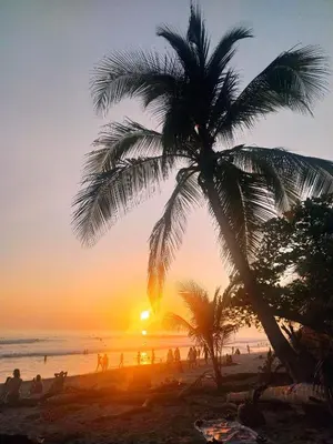a palm tree on a beach at sunset at Casa VISTA PARAISO - Vista al mar - Selva - WIFI - Deck Yoga - Sunset in Santa Teresa Beach