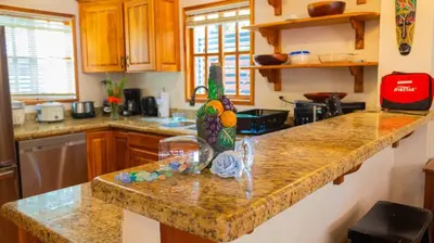 a kitchen with a counter top with a statue of a pineapple at 3 minutes walk from the best surf beach in area in Dominical