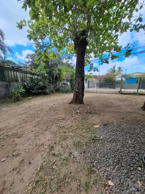 a tree in the middle of a dirt road at Coco Beach House in Coco