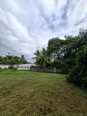 a field with a palm tree and a fence at Coco Beach House in Coco