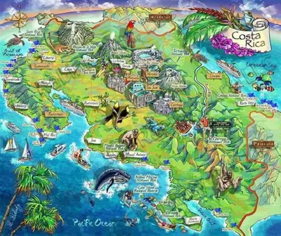 a map of the island of costa rica at Casa Echavarria in San José