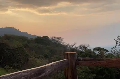 a wooden fence with a view of a forest at \u58ee\u89c2\u666f\u8272\u7684\u5b81\u9759\u6728\u5c4b in Santa Ana