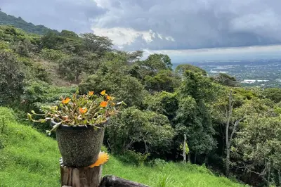 a pot of flowers on a post on a hill at \u58ee\u89c2\u666f\u8272\u7684\u5b81\u9759\u6728\u5c4b in Santa Ana