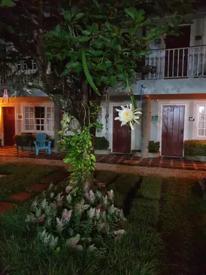 a tree in front of a house with a flower at Hotel Liberia in Liberia