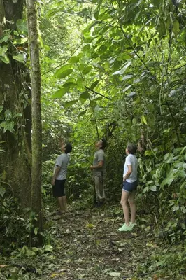 a group of people standing in the woods at Arenal Hideaway in San Ramón
