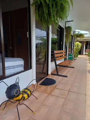 a yellow and black insect on the side of a building at Habitaciones Kolibri in Quepos