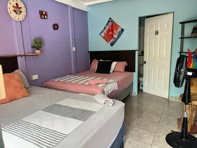 two beds in a room with purple walls at Habitaciones Kolibri in Quepos