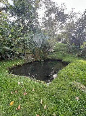 Gallery image of Quinta Herrera in Ánimas