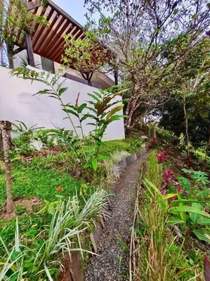 Gallery image of luxury contemporary jungle villa in Quepos
