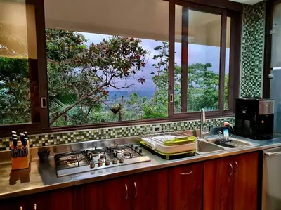 Gallery image of luxury contemporary jungle villa in Quepos