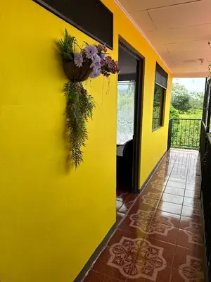 a yellow wall with a flower pot on it at Hotel Villa Marsella in Marsella