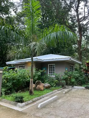a small house with a palm tree in front of it at Manzu in Santa Cruz