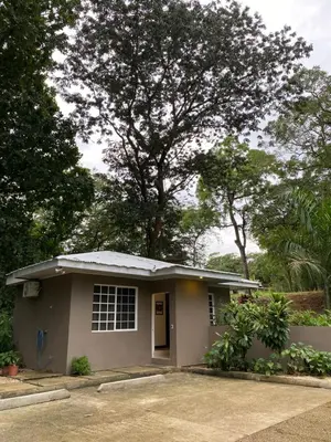 a small house with a tree in the background at Manzu in Santa Cruz