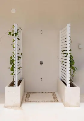two potted plants sitting in a white room at Secluded Luxury Mansion with Sleek, Modern Design, High-End Amenities, and Spectacular Views in Carpintero