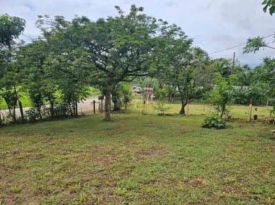 a field with a tree and a fence at Departamento Económico, Familiar in San Isidro