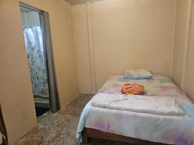 a bedroom with a bed with a pillow on it at Departamento Económico, Familiar in San Isidro