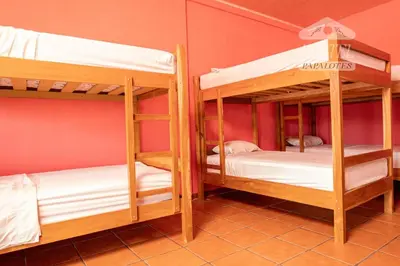 two bunk beds in a room with a red wall at Hospedaje Papalotes in Quepos