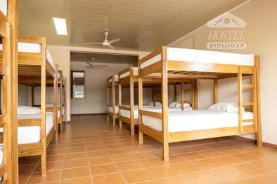 a room with a bunch of bunk beds at Hospedaje Papalotes in Quepos