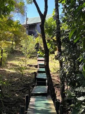 a wooden path leading to a house in a forest at La Cueva del Sapo Experience a genuine countryside farm wooden house in Horquetas