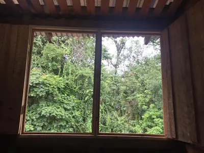 a window in a room with a view of a forest at La Cueva del Sapo Experience a genuine countryside farm wooden house in Horquetas