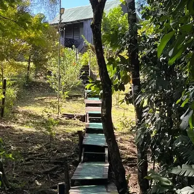 La Cueva del Sapo Experience a genuine countryside farm wooden house