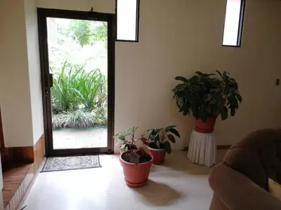 a living room with potted plants in front of a door at Monte Los Lirios Lodge in Monteverde Costa Rica