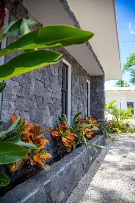 Gallery image of Hotel Bosques de Pinilla in San José Pinilla