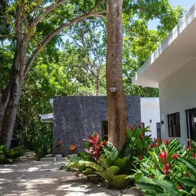 Hotel Bosques de Pinilla