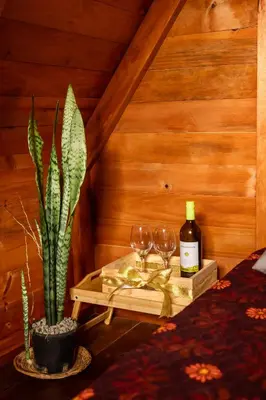 a room with a table with wine glasses and a cactus at Rousse Cabin in Rivas
