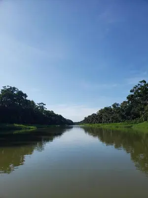 a river with trees on the sides of it at Alma Del Bosque Hotel in Tortuguero
